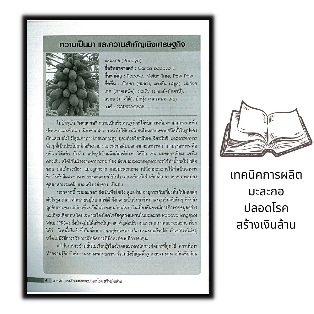 หนังสือ-เทคนิคการผลิตมะละกอปลอดโรค-สร้างเงินล้าน-พืชและการเกษตร-การลงทุน