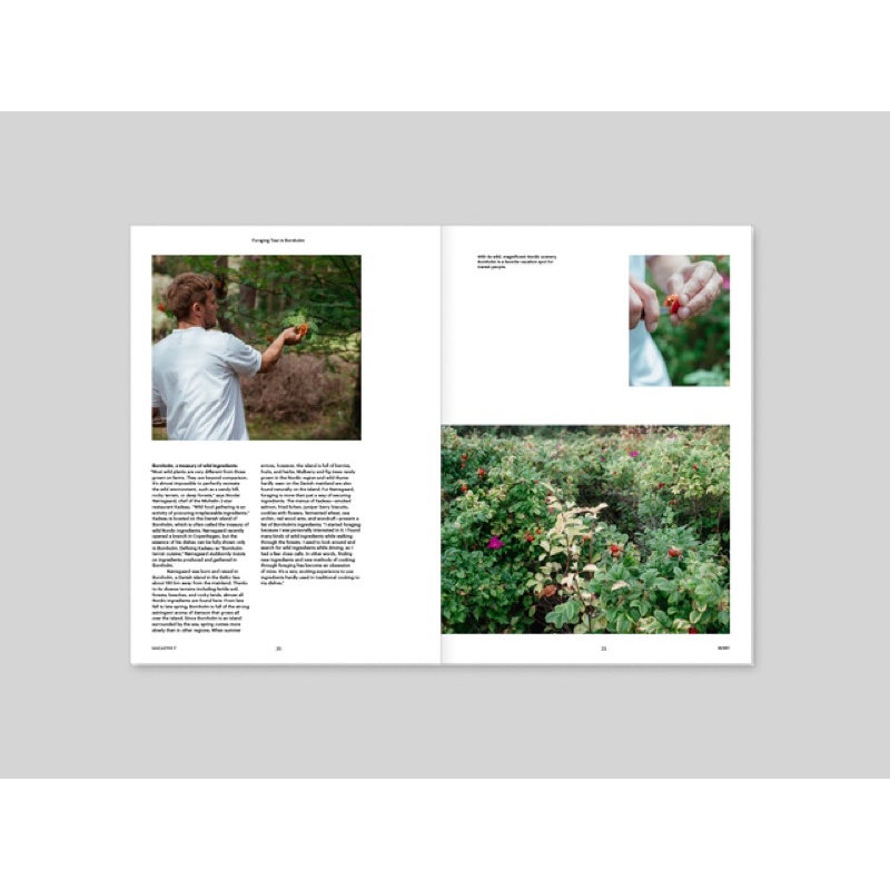pre-order-นิตยสารนำเข้า-magazine-b-f-issue-no-10-berry-ภาษาอังกฤษ-หนังสือ-monocle-kinfolk-english-brand-food-book