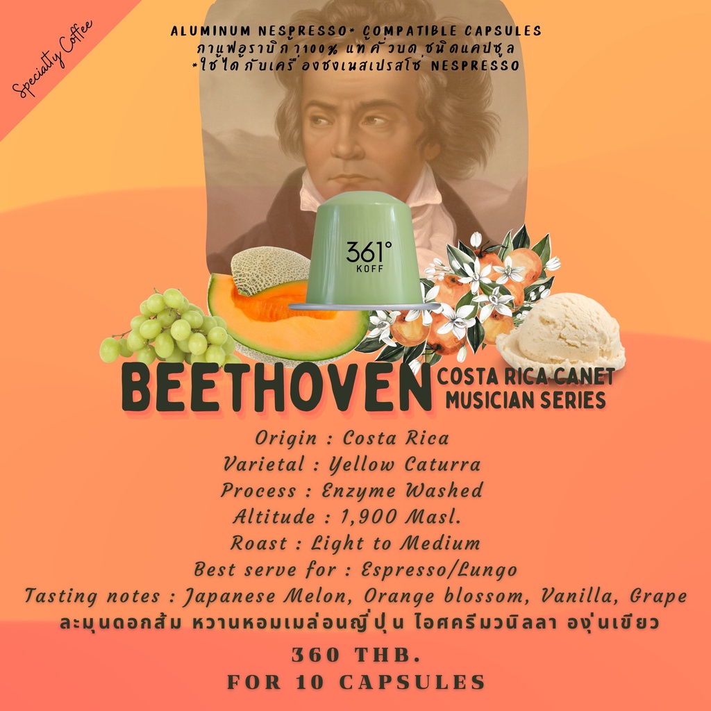 beethoven-musician-series-limited