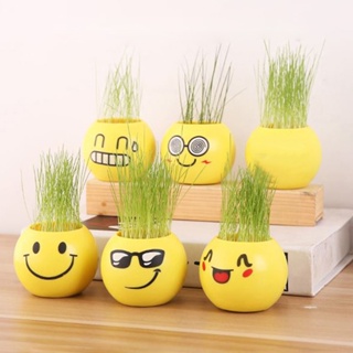 【AG】Cute Plastic Pot Mini Emoji DIY Grass Planting Home Desktop Window Flowerpot
