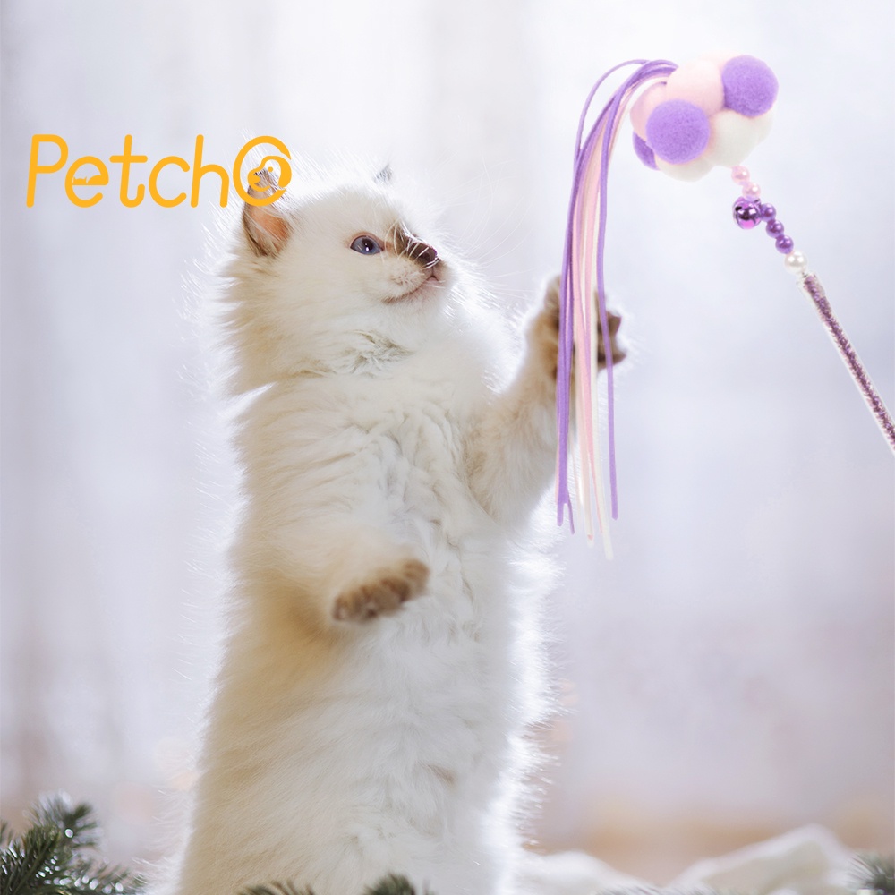 ภาพหน้าปกสินค้าPetcho ไม้ล่อแมว ของเล่นแมว ของเล่นสัตว์เลี้ยง Cat Teaser จากร้าน petcho01 บน Shopee