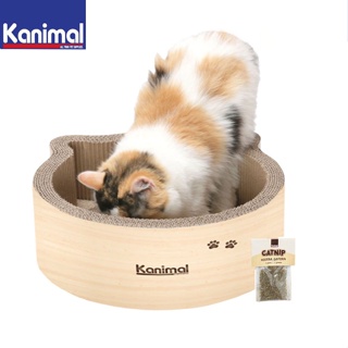 ของเล่นแมว ที่ลับเล็บแมว คานิมอล ลับเล็บแมว ที่นอนแมว โซฟาลับเล็บแมว 36x36x15ซม กัญชาแมว Kanimal Cat Face Toy Dave