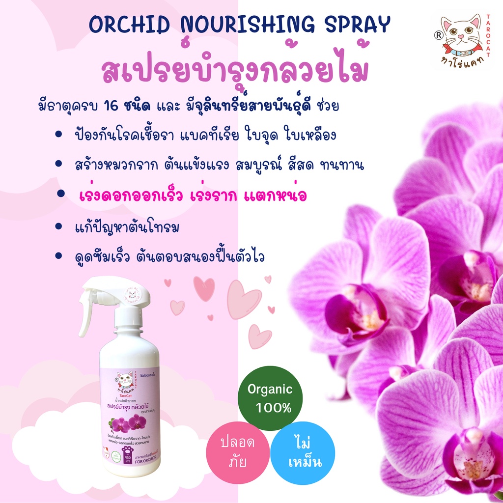 สเปร์ยบำรุงกล้วยไม้-จากน้ำหมักชีวภาพ-tarocat-orchid-nourishing-spray-ใช้แทนปุ๋ยกล้วยไม้