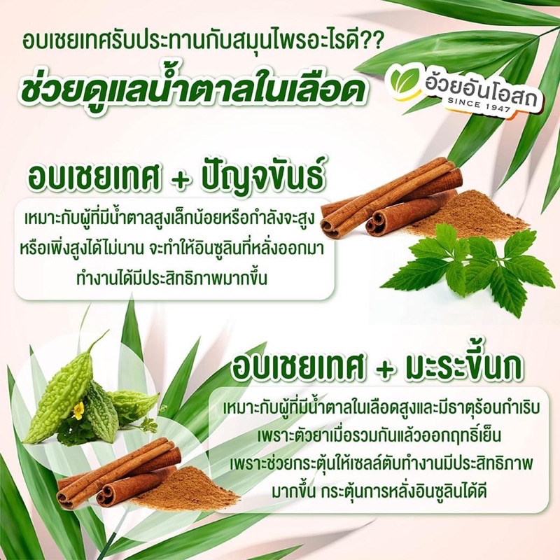 ภาพสินค้าแท้ % ค่าส่งถูก Herbal One Cinnamon ชินนามอน อบเชย อ้วยอันโอสถ 100 แคปซูล จากร้าน yoon65_lucrative บน Shopee ภาพที่ 5