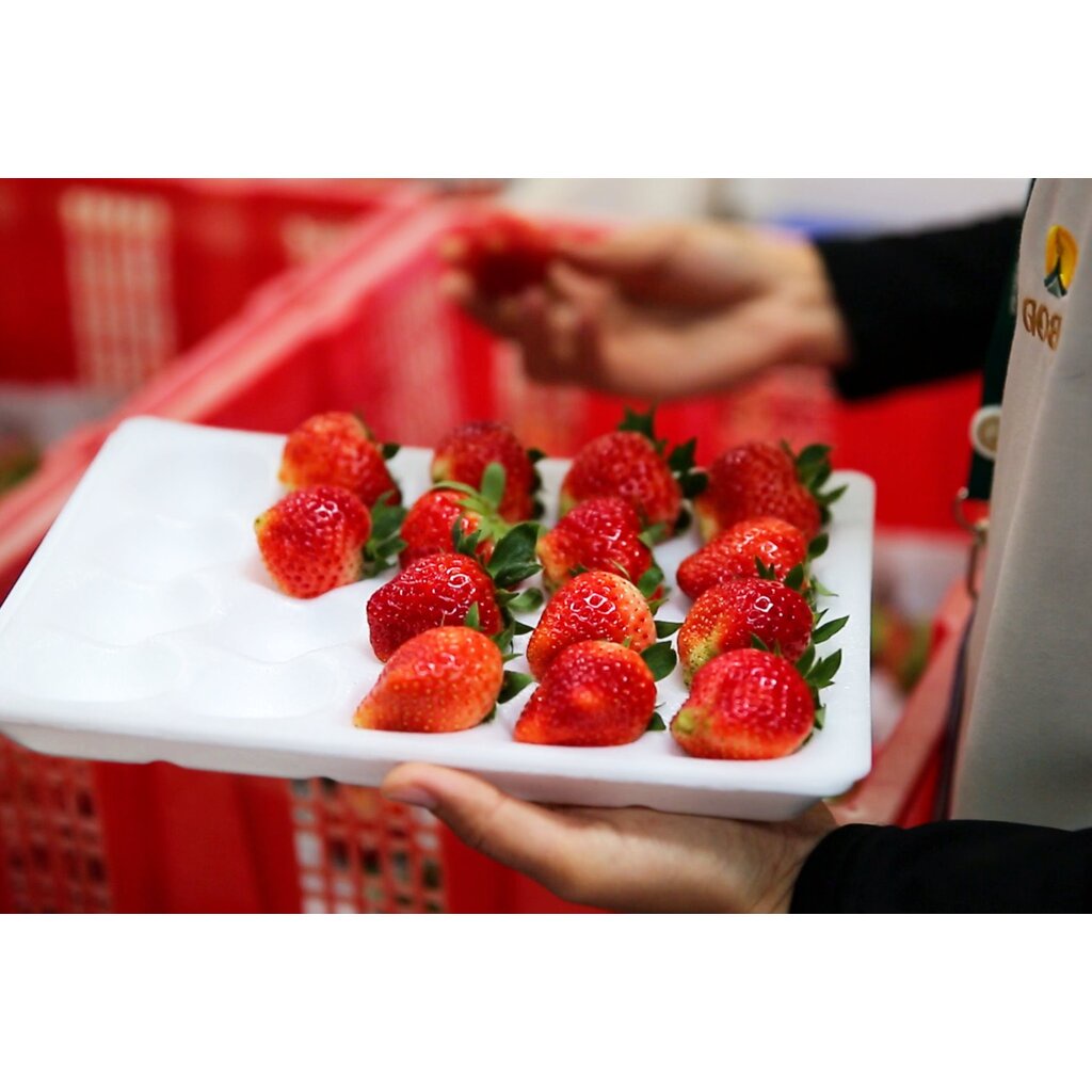 พร้อมส่ง-สตรอว์เบอร์รีอบแห้ง-dehydrated-strawberry-ขนาด-140-กรัม-สตรอว์เบอร์รีอบแห้งดอยคำ-โครงการหลวง-คัดสรรสตรอ