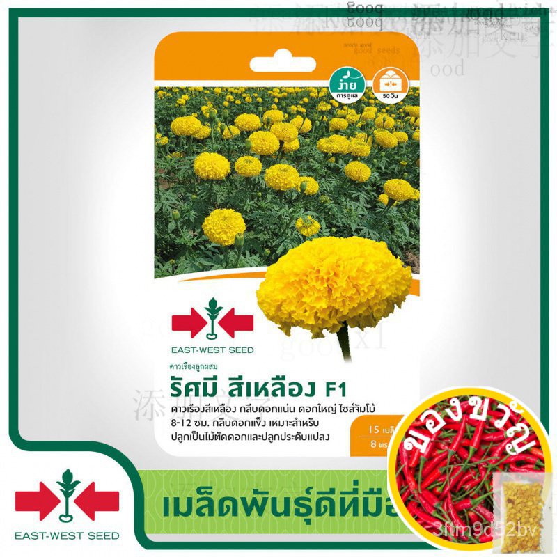 east-west-seed-เมล็ดพันธุ์ดาวเรือง-marigold-seeds-รัศมี-สีเหลือง-f1-เมล็ดพันธุ์ดอกไม้-เมล็ดพันธุ์-ผักสวนครัว-ดาวเรื