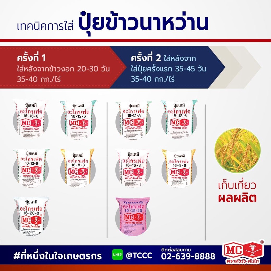 ปุ๋ยตราหัววัวคันไถ-46-0-0-16-16-16-15-15-15-25-7-7-8-24-24-16-20-0-ปุ๋ยเร่งต้น-ปุ๋ยเร่งดอก-ปุ๋ยหวาน-แบ่งขาย