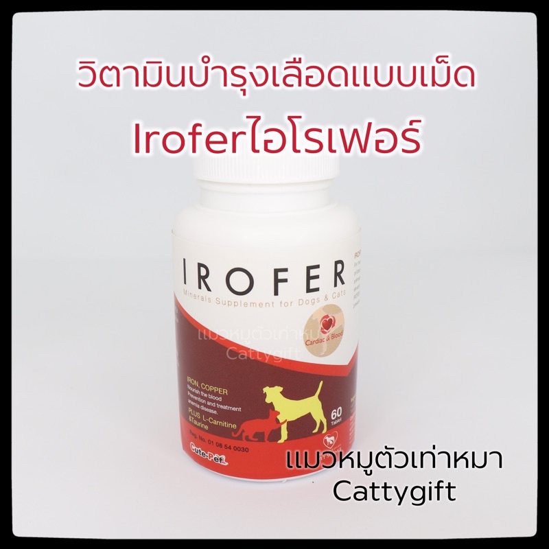 วิตามินบำรุงเลือดสุขภาพและหัวใจIrofer ไอโรเฟอร์ | Shopee Thailand