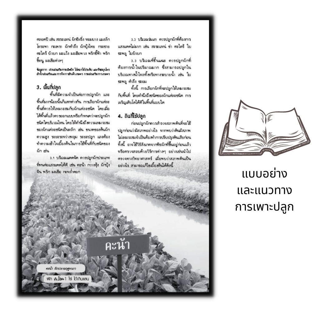 หนังสือ-ผักทำเงิน-1-ไร่-ได้เกินแสน-พืชและการเกษตร-การปลูกพืช-พืชเศรษฐกิจ