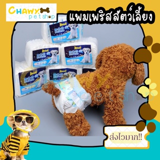 สินค้า แพมเพิสสัตว์เลี้ยง แพมเพิส แพมเพริส แพมเพิรส์ ห้องน้ำสัตว์เลี้ยง แพมเพริสสัตว์เลี้ยง แพมเพริสหมา แพมเพริสแมว