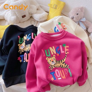 Candy Kids Candy ชุดเด็กผู้ชาย เสื้อผ้าเด็ก เสื้อกันหนาวเด็ก นุ่ม และสบาย ด้านบนเกาหลี คุณภาพสูง Unique ทันสมัย สบาย CK220002 36Z230909