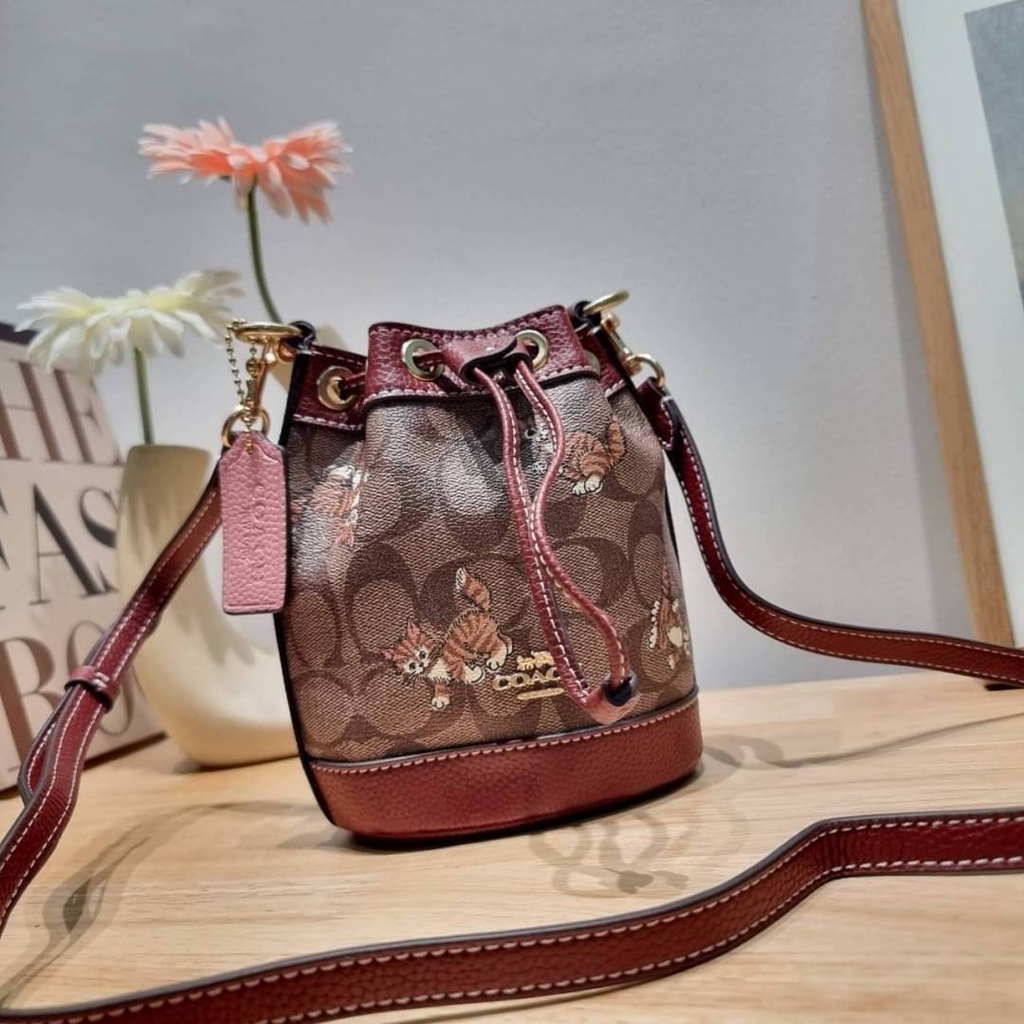 coach-cc431-mini-dempsey-bucket-bag-in-signature-canvas-with-dancing-kitten-print
