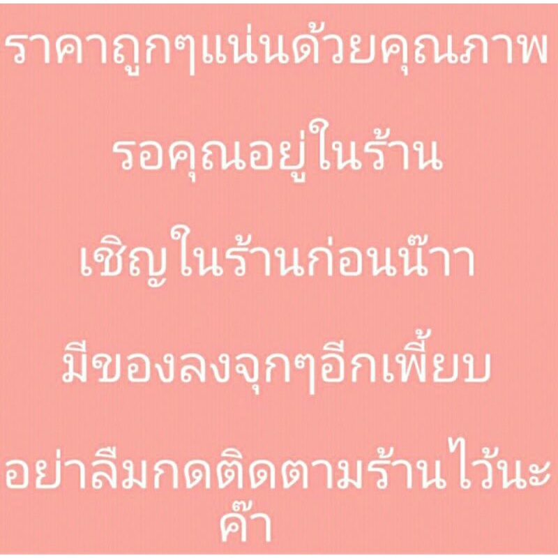 ก้นหอยใสๆ-ข้างในสีทอง-15-มิล-10-ชิ้น