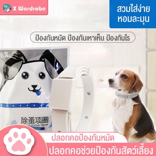 ภาพหน้าปกสินค้าปลอกคอแมว🐱 ปลอกคอสุนัข🐶 ปลอกคอกำจัดเห็บ หมัด ปลอกคอกําจัดหมัดเห็บ 😺ปลอกคอสุนัขและแมว  ปลอกคอสัตว์เลี้ยง ปลอกคอกันยุง ที่เกี่ยวข้อง