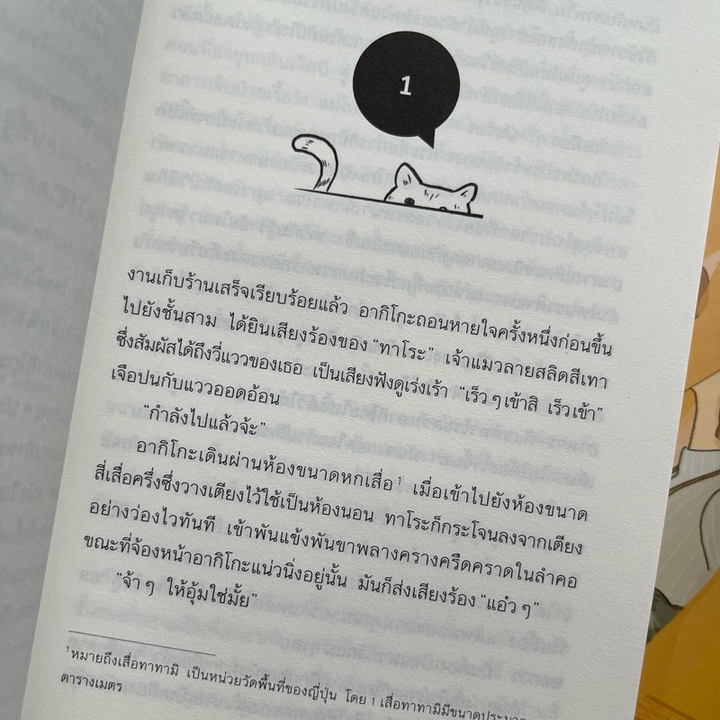 หนังสือ-วันที่เหมาะกับขนมปัง-ซุป-และแมว