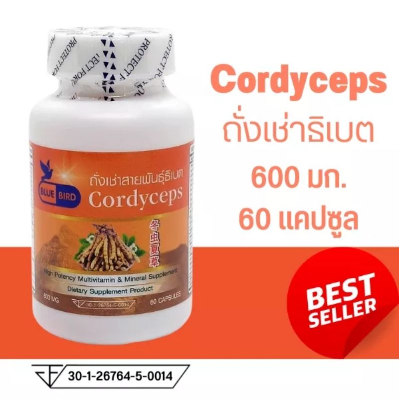 ถั่งเช่า-ตังถั่งเช่าสายพันธุ์ธิเบต-cordyceps-ตรา-บลูเบิร์ด-ขนาด-600-มิลลิกรัม-30-และ-60-แคปซูล