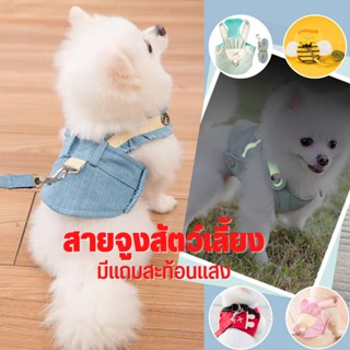 🐶 สายจูงมีโบว์ 🐶  สายจูงแมว สายจูงหมา เชือกจูงสัตว์เลี้ยง ที่จูงสัตว์ ที่จูงสัตว์เลี้ยง พร้อมแถบสะท้อนแสง