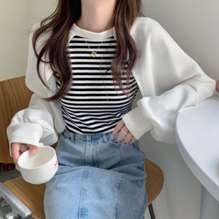 พร้อมส่ง 🔥 เสื้อเชิ้ตทรงหลวมลายเย็บสีขาวเวอร์ชั่นเกาหลี เสื้อเชิ้ตสไตล์วิทยาลัยแขนยาวแฟชั่นทรงสลิม 2 สี