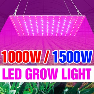 โคมไฟสเปกตรัม LED AC110V 220V สําหรับปลูกพืชเรือนกระจก