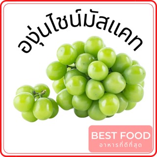 องุ่นไชน์มัสแคท Shine Muscat Grape