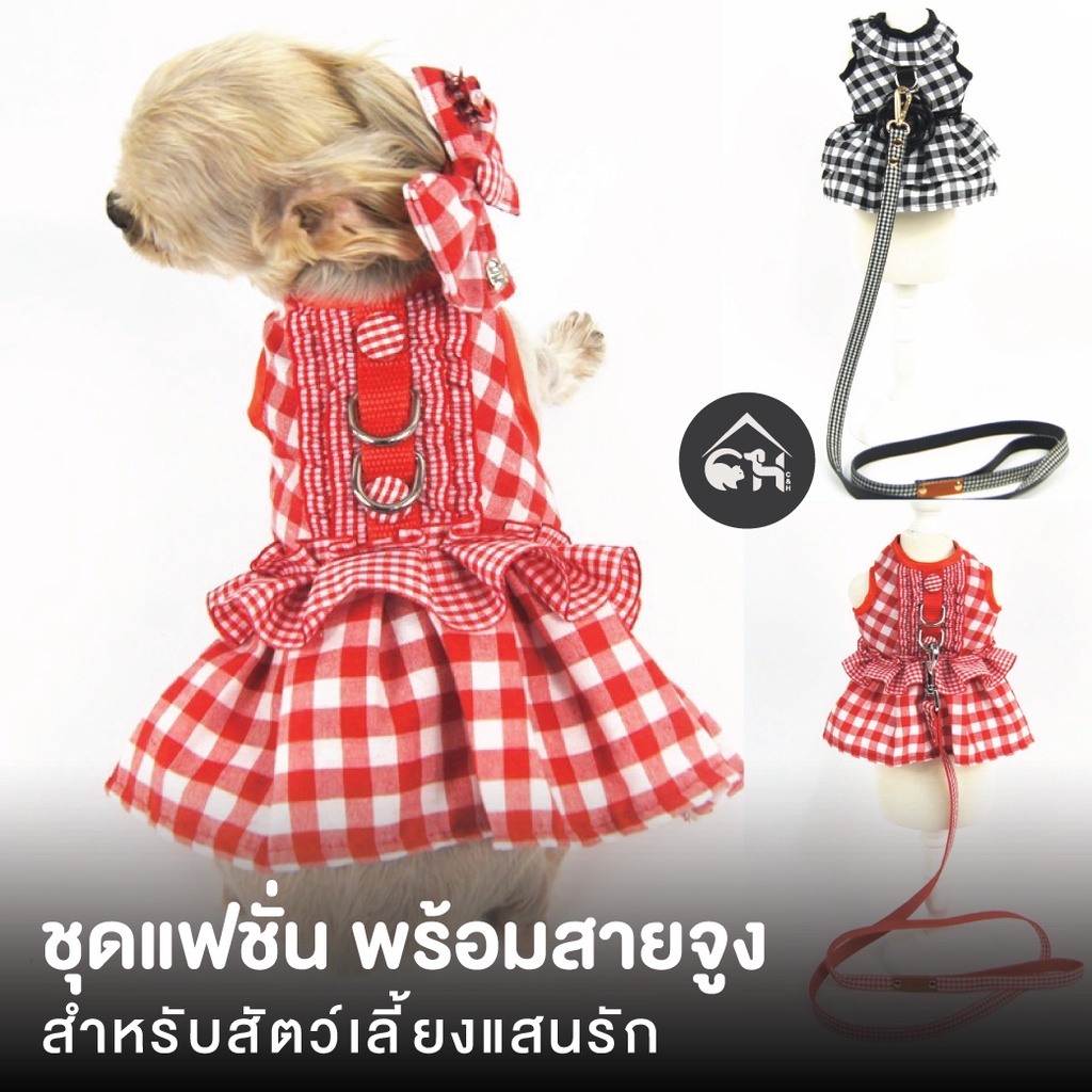 ชุดแฟชั่น-สายจูง-สำหรับสัตว์เลี้ยงแสนรัก