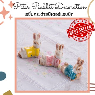 เรซิ่นกระต่าย Peter rabbitน่ารักๆ