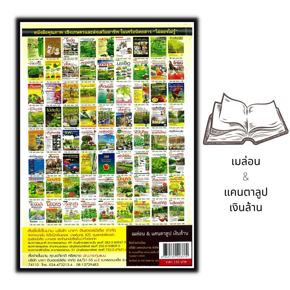 หนังสือ-เมล่อน-amp-แคนตาลูป-เงินล้าน-ผลไม้-พืชและการเกษตร-การปลูกผลไม้-พืชเศรษฐกิจ