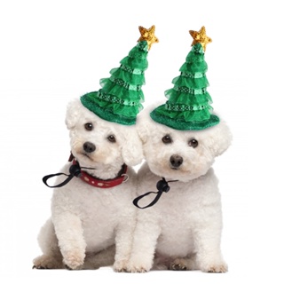 หมวกคริสต์มาส สีเขียว สําหรับสัตว์เลี้ยง สุนัข แมว