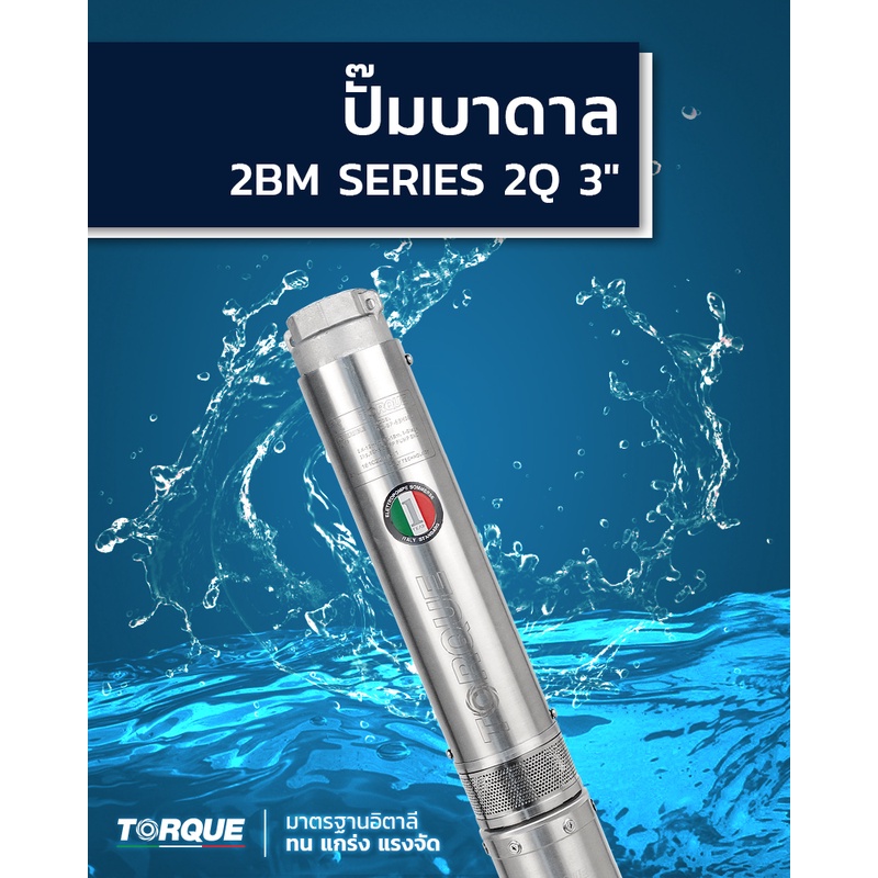 torque-ปั๊มบาดาล-รุ่น-tq-sp-2bm11-3s-220v-บ่อ3นิ้ว-11ใบพัด-ท่อน้ำออก1-25นิ้ว-ปั้มบาดาล-ดูดน้ำลึก