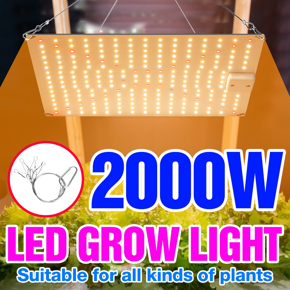 โคมไฟ-led-2000w-220v-110v-3000w-สําหรับปลูกพืชเรือนกระจก