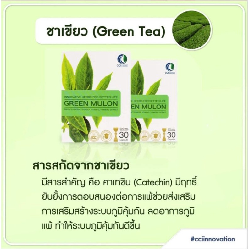 กรีนมูลอน-green-mulon-เหมาะสำหรับผู้ที่มีอาการภูมิแพ้-และผู้ที่ต้องการให้ภูมิคุ้มกันแข็งแรง