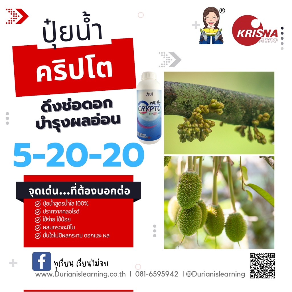 ปุ๋ยชนิดน้ำ-สูตร-5-20-20-ดึงช่อดอก-บำรุงผลอ่อน