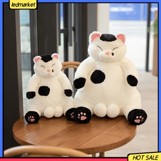 ภาพหน้าปกสินค้า[Ledmarket] ตุ๊กตาแมวน่ารัก ผ้าฝ้าย PP ใส่สบาย ทนทาน สําหรับทุกวัน ที่เกี่ยวข้อง