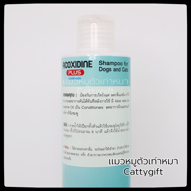 แชมพู-acoxidine-plus-อโคซิดีนพลัส-แชมพู-ป้องกันเชื้อรา-ผิวหนังของสัตว์เลี้ยง-สุนัข-และ-แมว