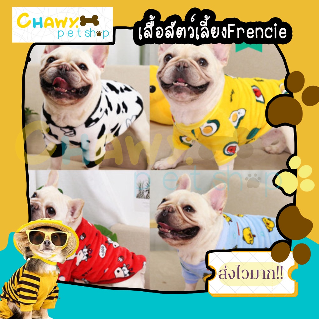 chawy-petshop-เสื้อสุนัข-เสื้อสัตว์เลี้ยง-ผ้าบาง-ใส่ห้องแอร์ได้-เฟร้นบลูดอก-frenchbulldog-เสื้อเฟร้นบลูดอก