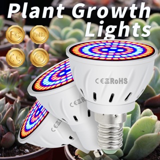 โคมไฟช่วยการเจริญเติบโตของพืช E14 E27 Full Spectrum Light AC220V MR16 Bulb GU10 สําหรับปลูกต้นไม้ ดอกไม้