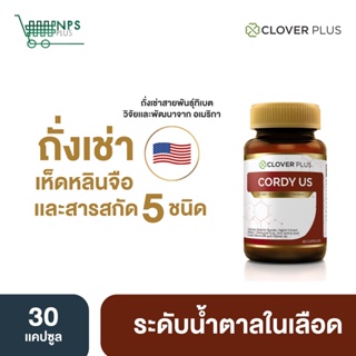 ภาพหน้าปกสินค้าClover Plus Cordy US ถั่งเช่า ทิเบต วิตามินซี วิตามินบี 6 เห็ดหลินจือ 1กระปุก (อาหารเสริมเพื่อสุขภาพ) ที่เกี่ยวข้อง