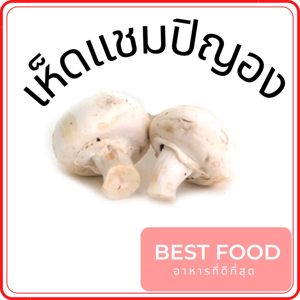 เห็ดแชมปิญอง-champignon-mushroom-เห็ดกระดุม