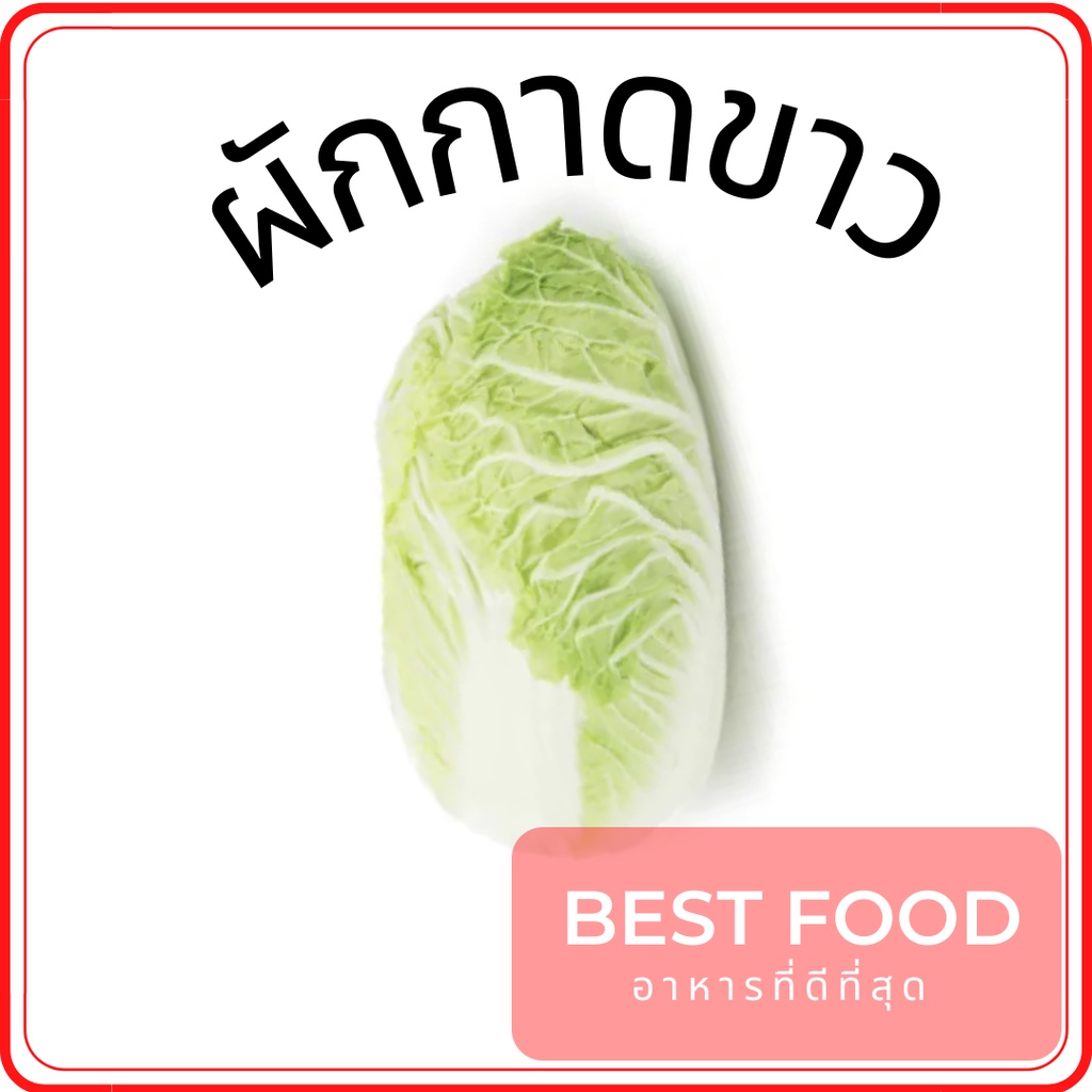 ผักกาดขาว-white-cabbage-ผักกาดจีน