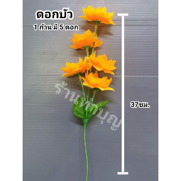 ดอกบัว-ดอกบัวก้าน5ดอก-ขายเป็น-1-ก้าน-ดอกบัวบาน-ดอกไม้ตกแต่ง-ดอกไม้ไหว้พระ-ดอกบัวมี4สี-บัวชมพู-บัวเหลือง-บัวแดง-บัวขาว