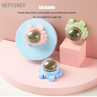 Neptuner ลูกบอลทําความสะอาดฟันธรรมชาติ แบบโต้ตอบ หมุนได้ ของเล่นสําหรับแมว ลูกแมว 2 ชิ้น