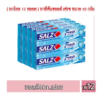 (แพ็ค 12 หลอด) Salz Fresh Japanese Mint Toothpaste ยาสีฟันซอลส์ เฟรช ขนาด 40 กรัม