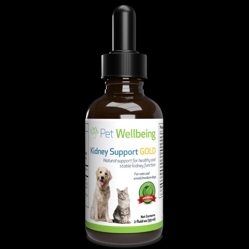 พร้อมส่ง-exp-09-2024-pet-wellbeing-kidney-support-gold-for-dog-and-cat-kidney-function-ขนาด-59-ml