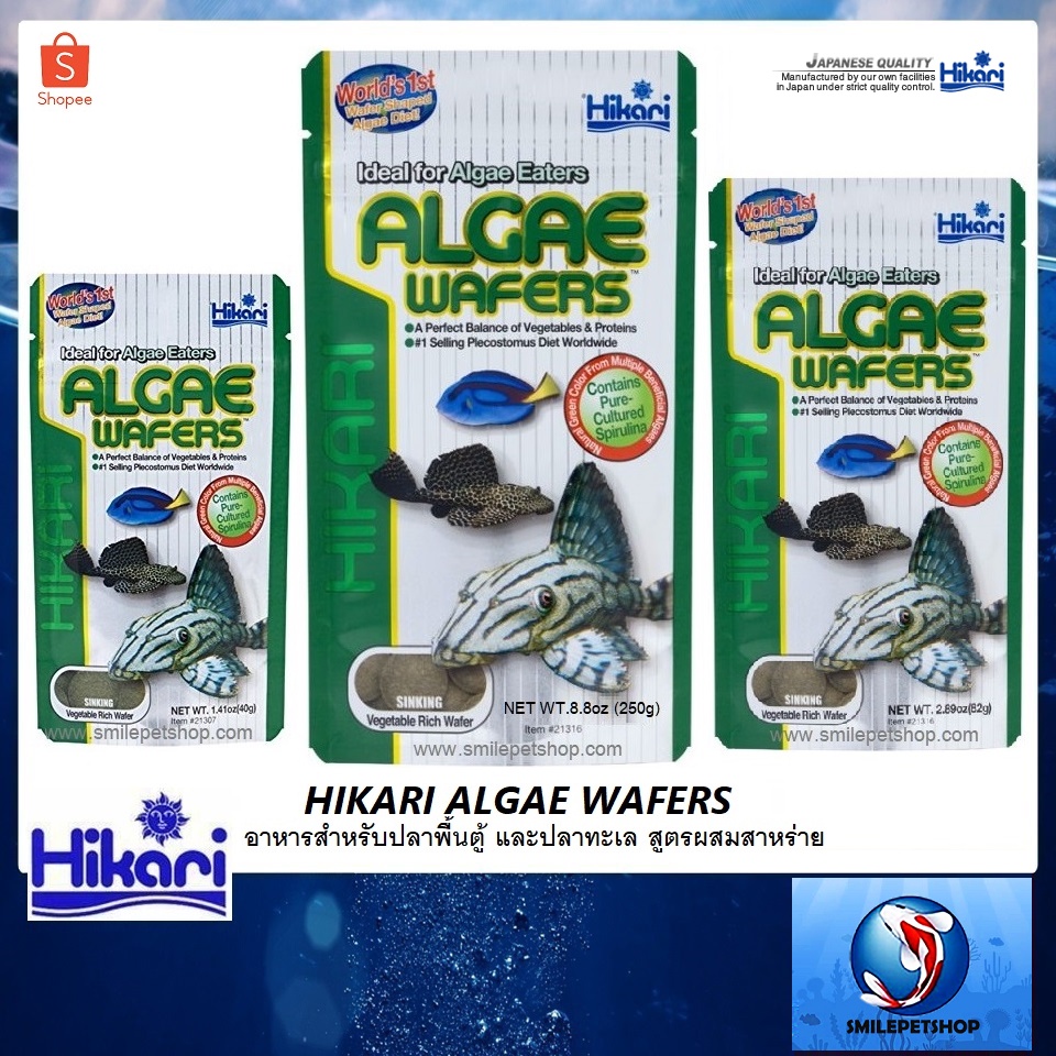 ภาพหน้าปกสินค้าHikari Algae Wafers (อาหารสำหรับปลาพื้นตู้ และปลาทะเล สูตรผสมสาหร่าย)