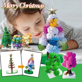 พร้อมส่งจากไทย🚚 ต้นไม้วิทยาศาสตร์ 3ชิ้น/เซ็ต ต้นคริสต์มาส ขาตั้งกระดาษต้นคริสต์มาส ของเล่น ของขวัญคริสต์มา