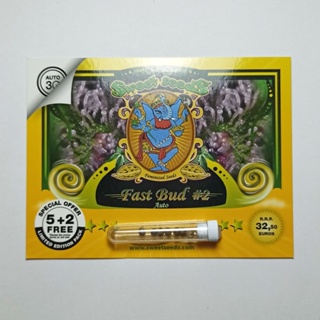 เมล็ดกัญชา Sweet seeds Fast Bud #2 Auto 7 cannabis seeds