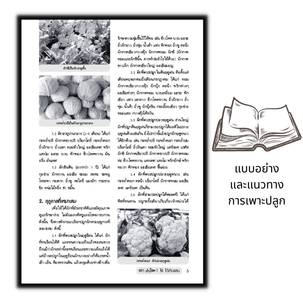 หนังสือ-ผักทำเงิน-1-ไร่-ได้เกินแสน-พืชและการเกษตร-การปลูกพืช-พืชเศรษฐกิจ