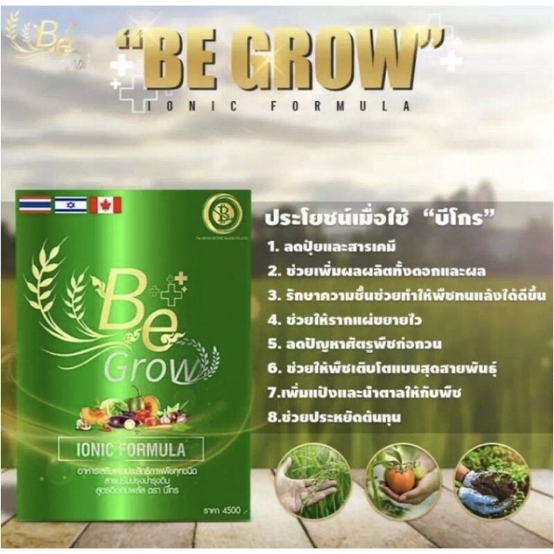 ปุ๋ยชีวภาพ-be-grow-บีโกร-ปุ๋ยบีโกร-1-กล่องมี-10-ซอง-สารเพิ่มประสิทธิภาพพืช-อาหารเสริมพืช-1-ซอง-ผสมน้ำ-800-ลิตร