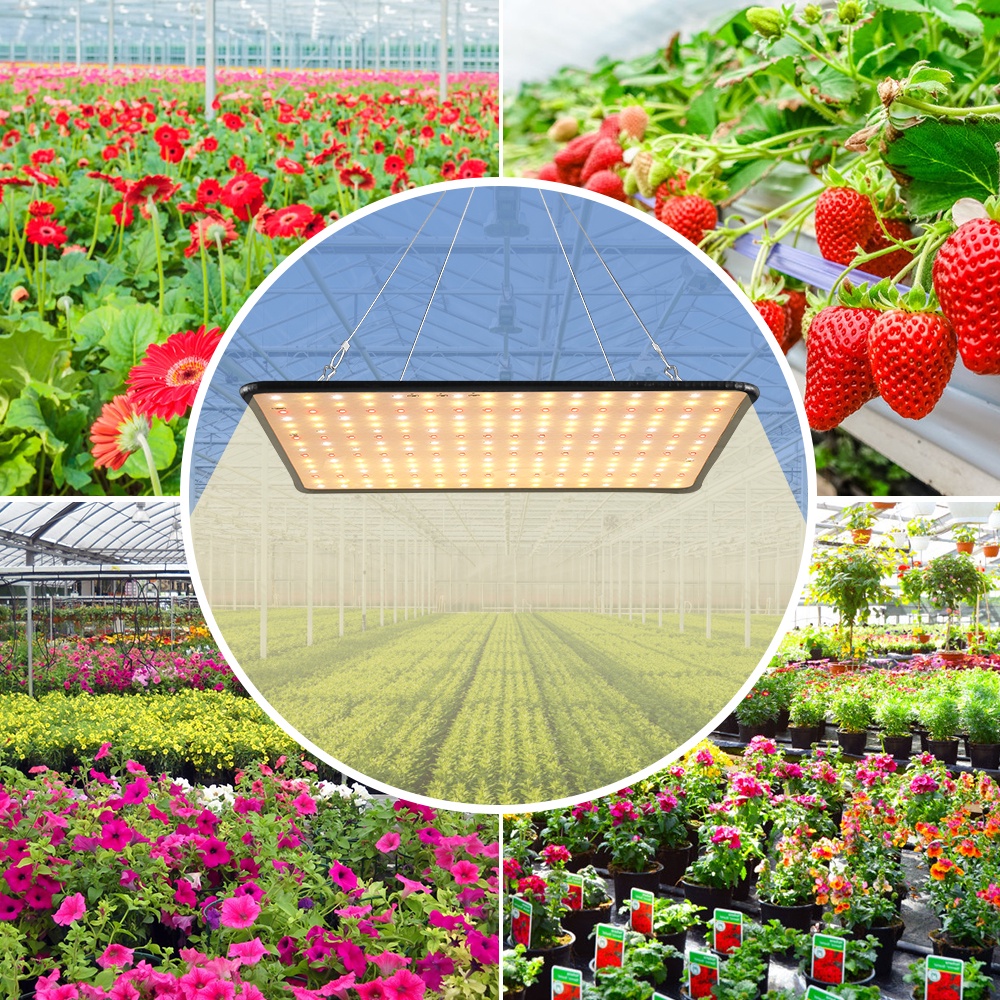 220V Full Spectrum Led Grow Light 1000W Quantum Board GrowLight ...