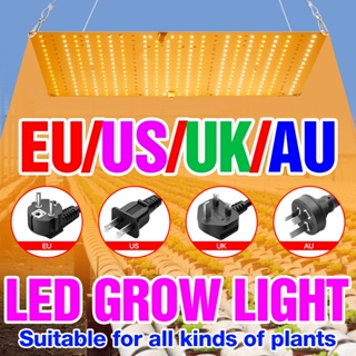 โคมไฟสเปกตรัม LED 2000W 220V 110V 3000W หรี่แสงได้ สําหรับปลูกพืชเรือนกระจก ดอกไม้